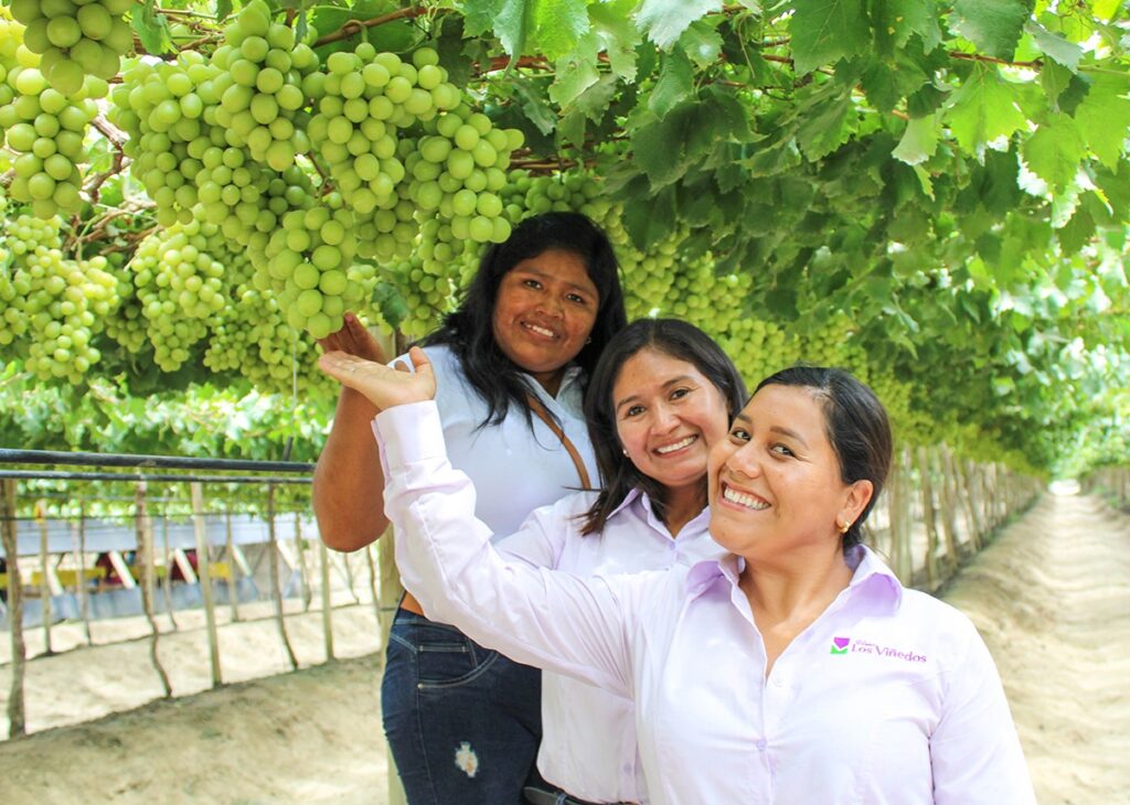 Vivelos Los Viñedod