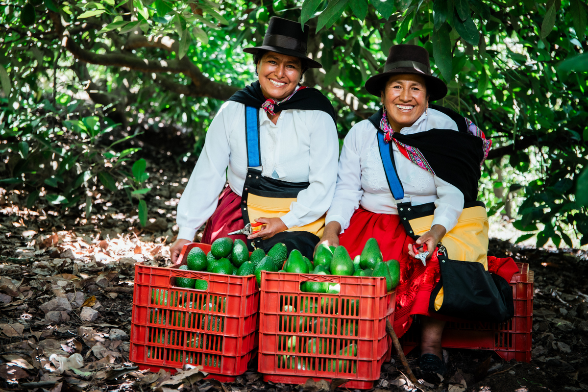 Más de 520 Organizaciones Agrarias integradas por mujeres rurales aplicaron en la Estrategia de Emprendimiento  del Midagri