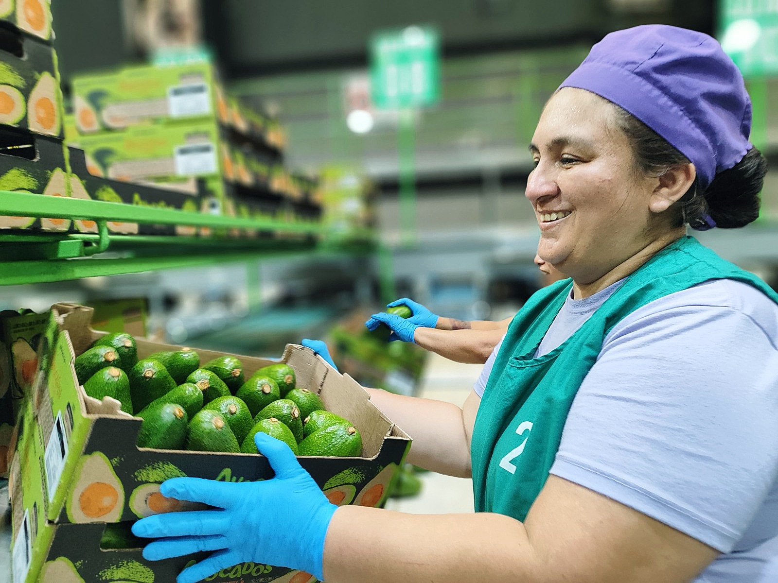 MIDAGRI facilita la exportación de 30 toneladas de palta de productores de Junín