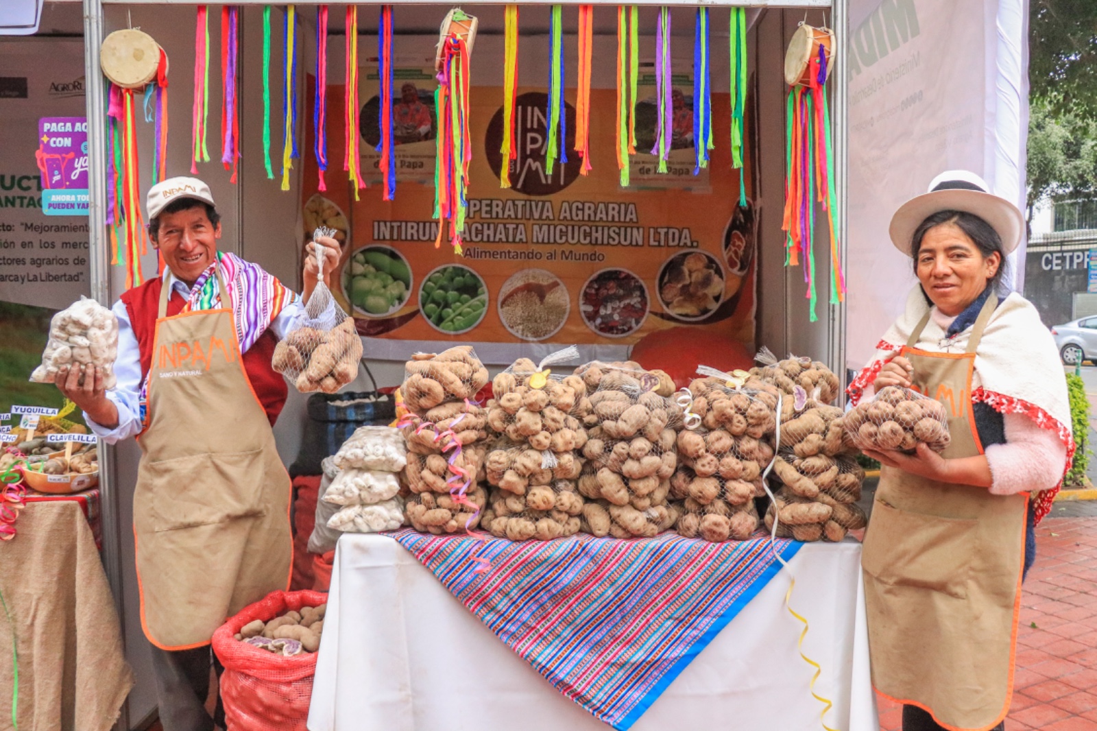 Por el Día de la Papa: Más de 700 mil agricultores de 19 regiones sustentan la producción en el país