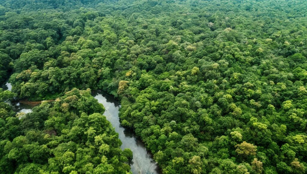 cambio climático