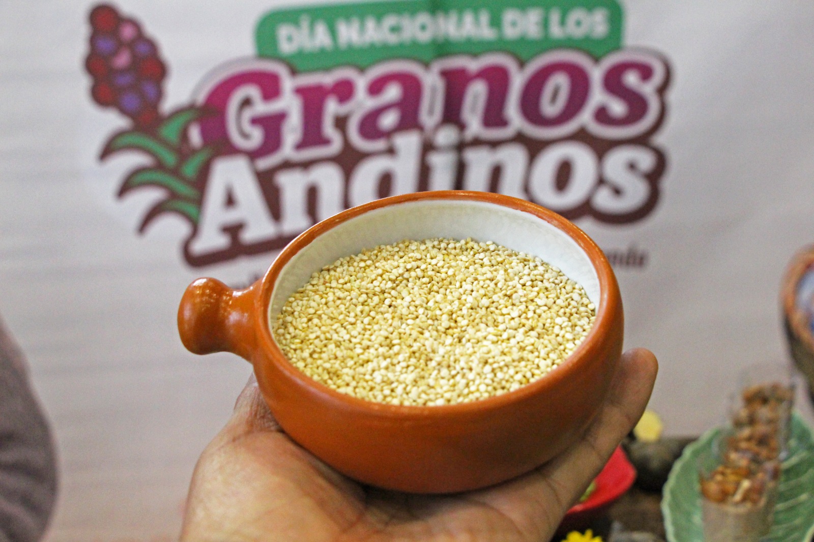 Ya viene el  XIII Día Nacional de los Granos Andinos 2026