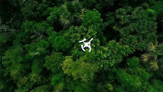 Drones e inteligencia artificial permiten mapear palmeras con alta precisión y menor costo