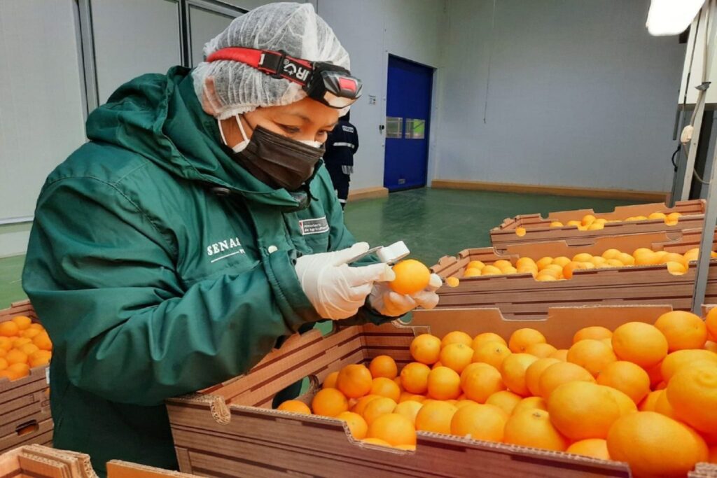 naranjas