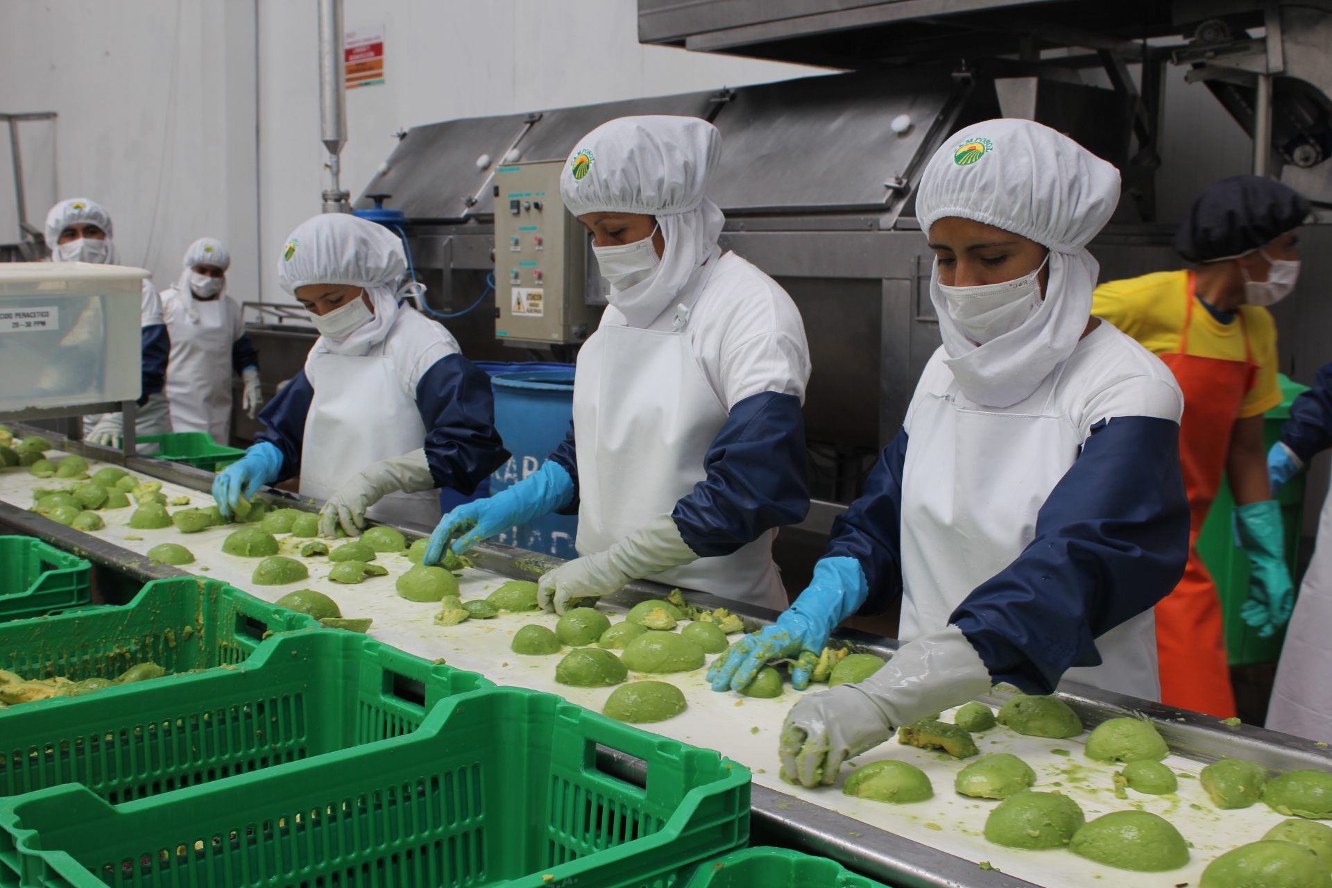 Gobierno: agroexportaciones superaron los US$ 3,700 millones en el primer cuatrimestre del año