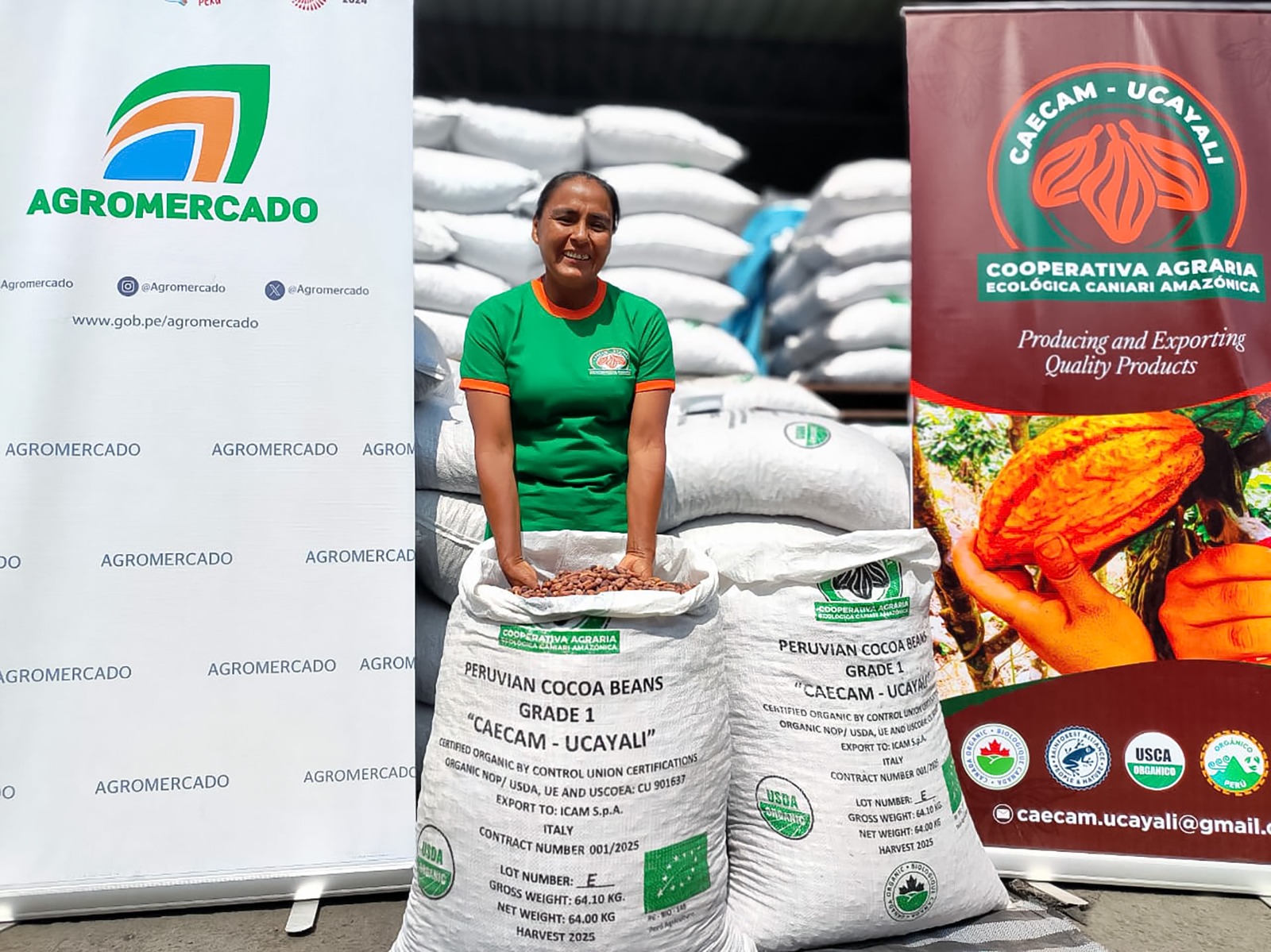Productores de Ucayali exportan 175 toneladas de cacao a Italia, Países Bajos y Estados Unidos