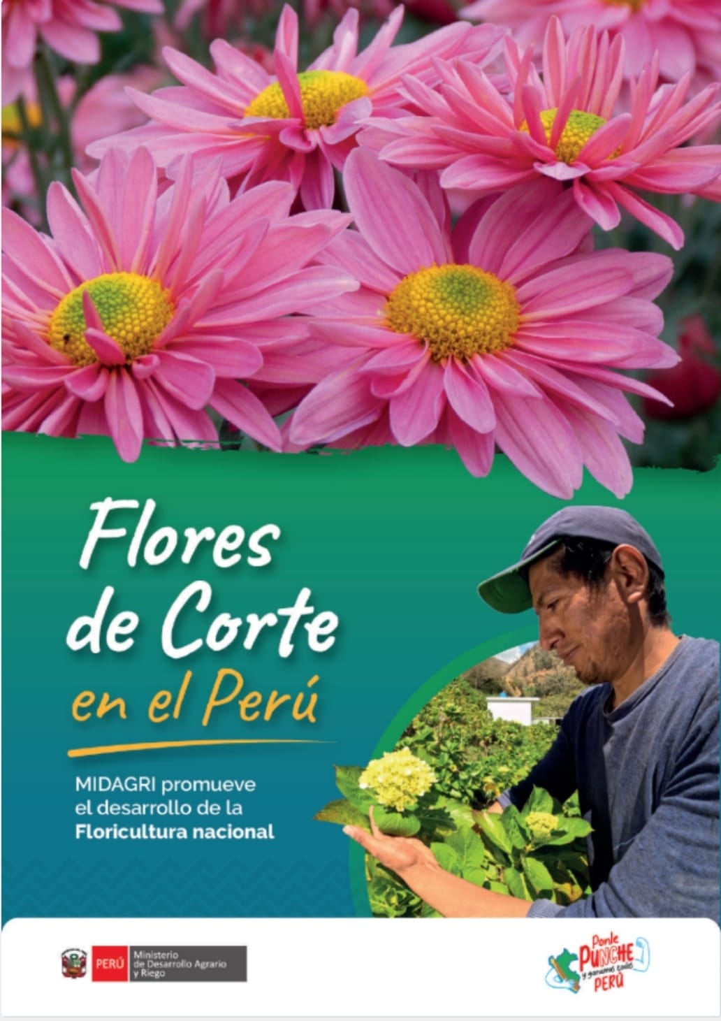 Flores del Perú