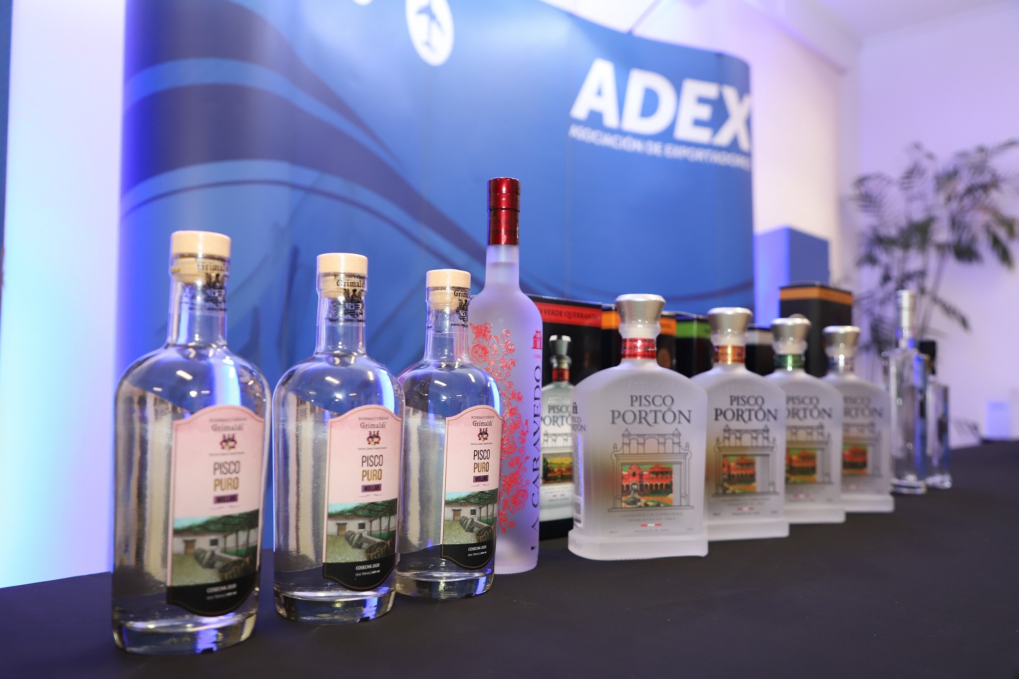 Pisco fue galardonado  en Concurso de Europa