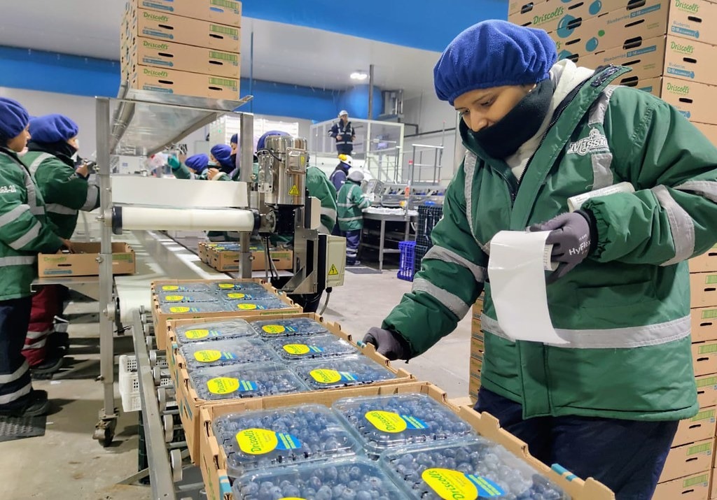 Ministro Manero: agroexportaciones crecerán 20% en los próximos años