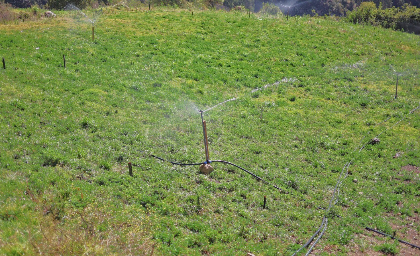 Gobierno promueve la modernidad de la agricultura familiar en zona altoandinas con proyectos de riego tecnificado
