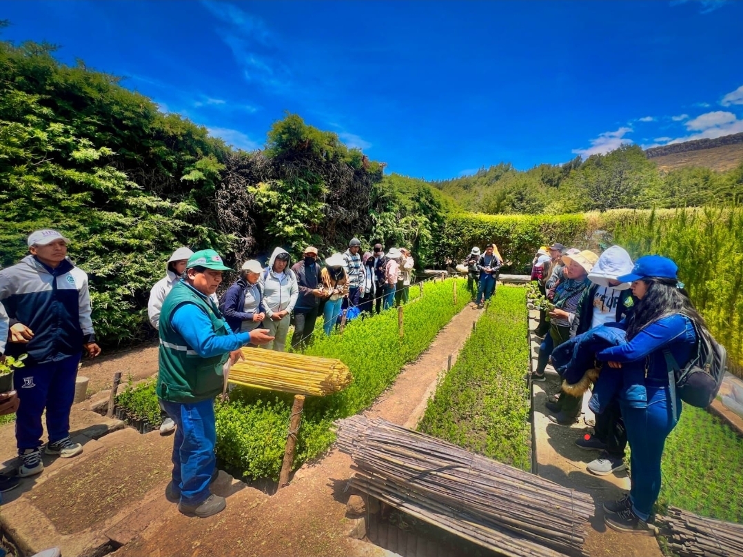 MIDAGRI: SERFOR será el encargado de diseñar y supervisar la instalación de plantaciones forestales comerciales