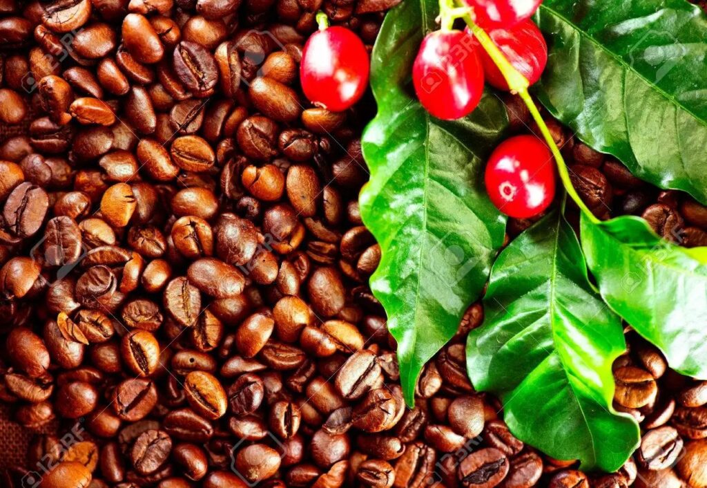 Café