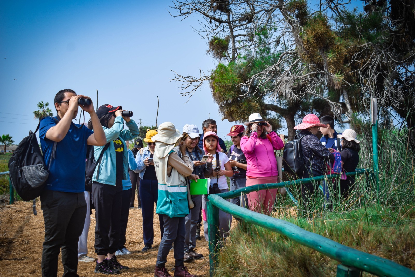 October Big Day 2025: el Humedal Pantanos de Villa invita a vivir la mayor fiesta mundial del avistamiento de aves