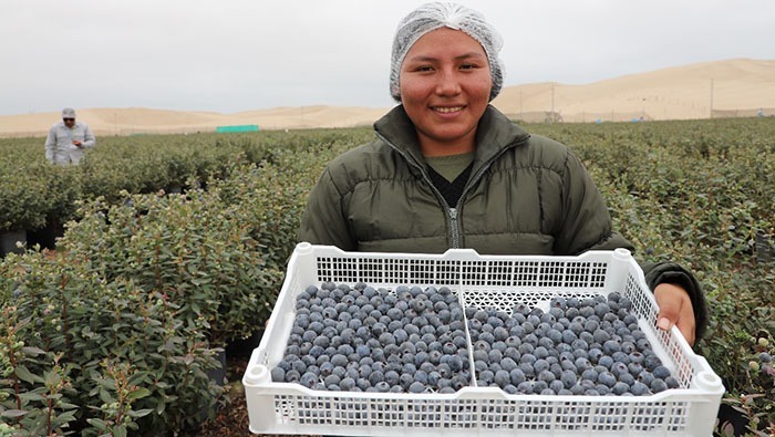 MIDAGRI sigue generando oportunidades comerciales para productos agropecuarios