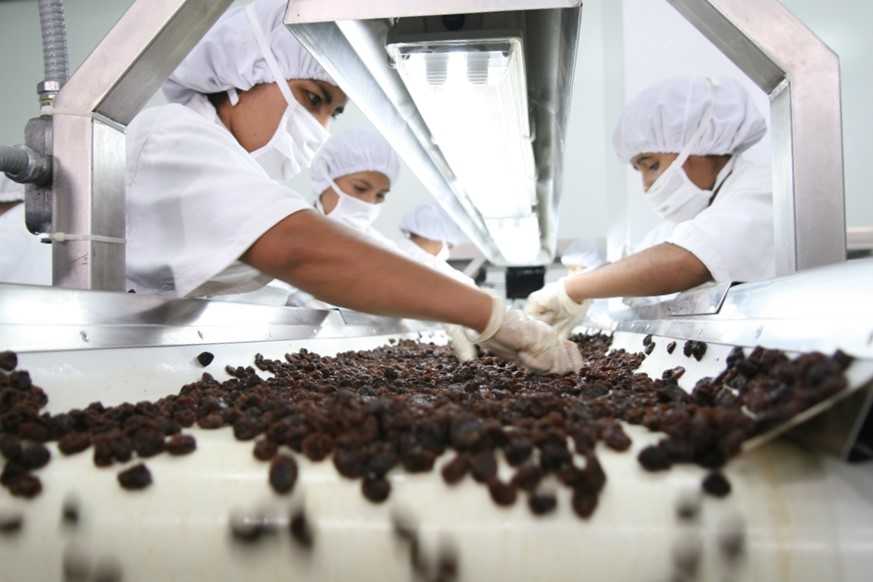 CIEN-ADEX: Se incrementó en 4.6% número de empresas exportadoras