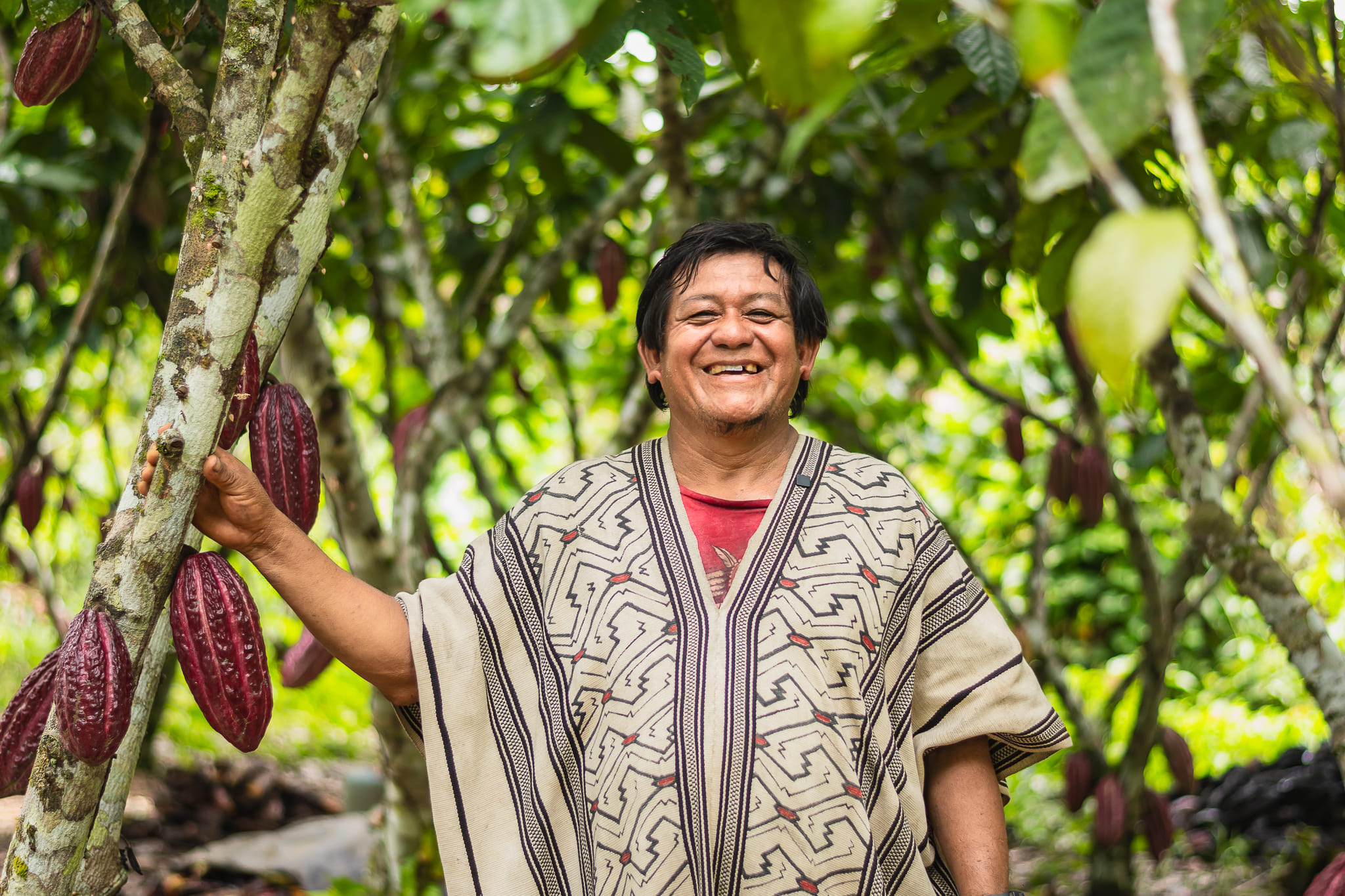 “Historias de Conservación”: Programa Bosques lanza serie que muestra cómo cuidar los bosques transforma vidas
