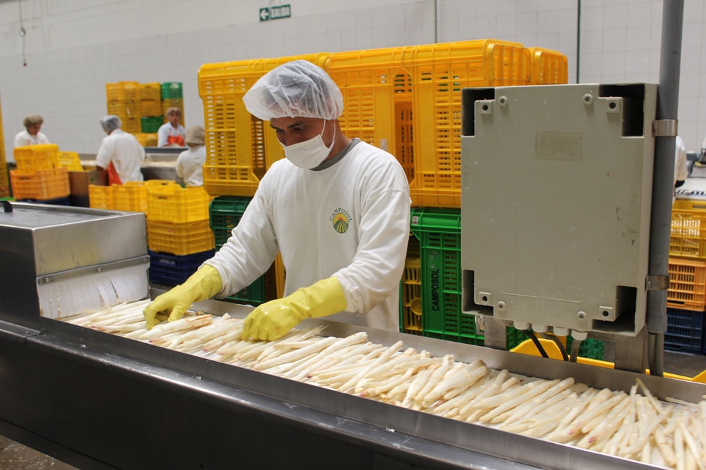 CIEN-ADEX Empleos directos asociados a exportaciones crecieron 10.5% en febrero