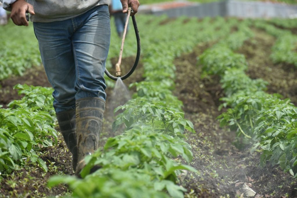 Opinión: Cancelación de plaguicidas pondría en riesgo trabajo de casi  5 millones de agricultores en el país