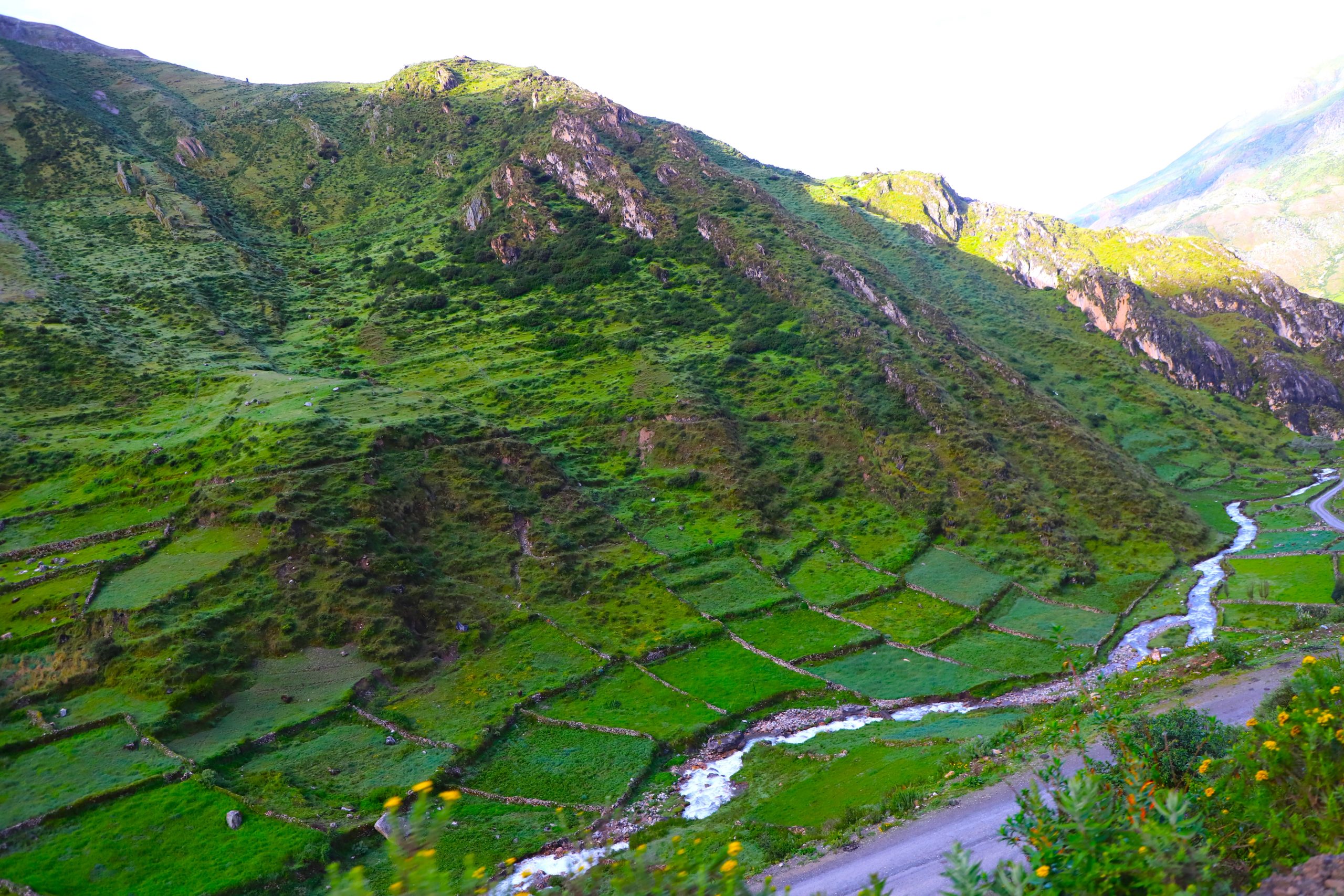 En el Día de la Madre Tierra: Un llamado urgente a proteger la vida que nos sostiene