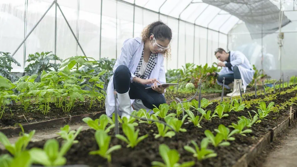 UNA-La Molina será sede del V Congreso Peruano de Mejoramiento Genético de Plantas y Biotecnología Agrícola