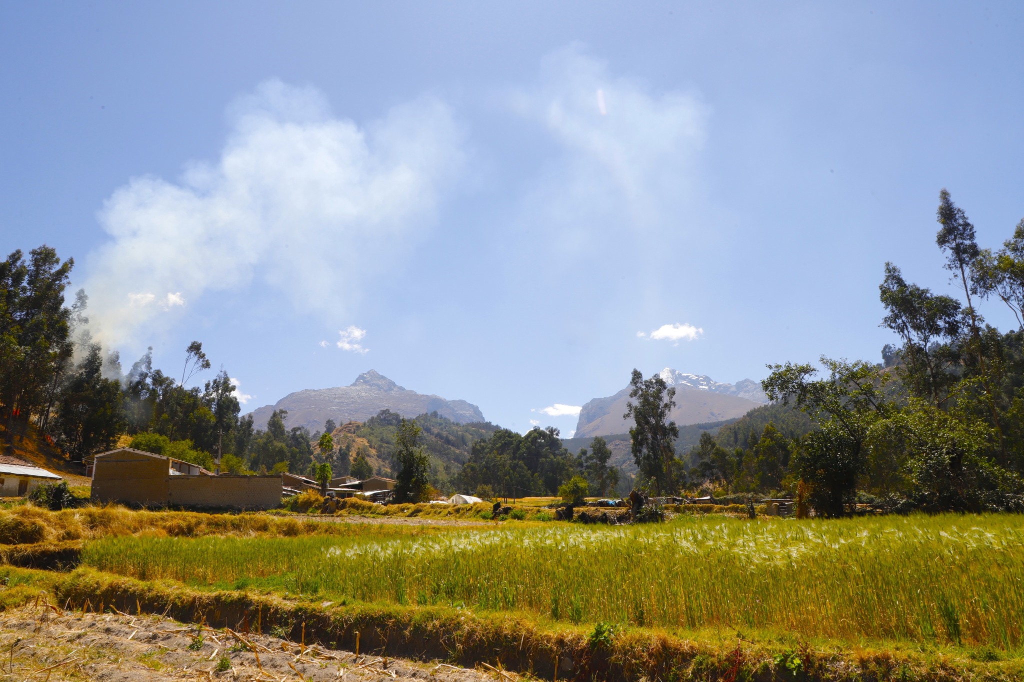 Crean Estación Experimental Agraria Ancash de  del INIA para impulsar la innovación agrícola