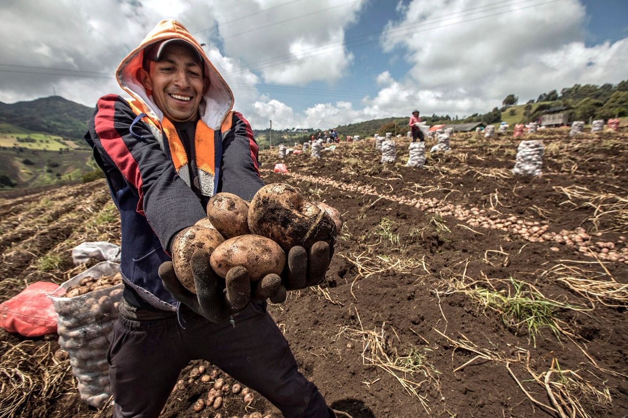 MIDAGRI inicia la Encuesta Nacional de Intenciones de Siembra para la campaña agrícola 2026/2027