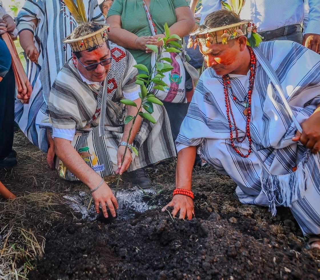 Selva central: Ponen en marcha importante  proyecto de cítricos y paltos