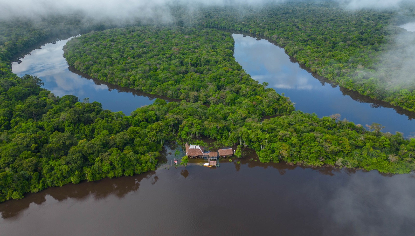 Perú presenta instrumentos para fortalecer protección de bosques y acción climática en la Amazonía