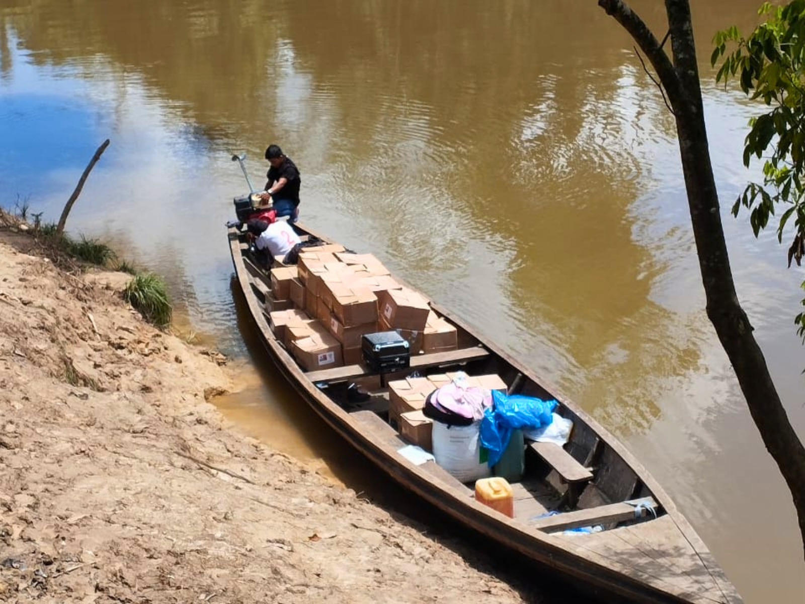 Loreto: IIAP entrega 81 000 alevinos de gamitana a 71 familias de seis comunidades del bajo Amazonas