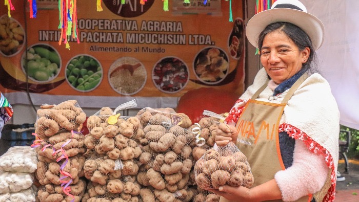 Exportaciones de papa peruana crecieron 19% llegando a 13 mercados internacionales
