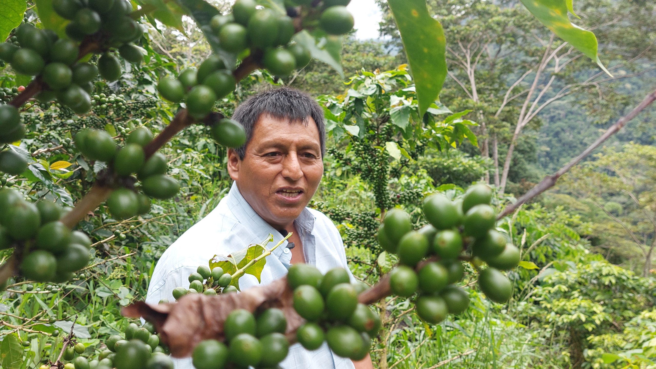 José Jorge Durand lidera misión comercial en Europa para fortalecer la Subasta Internacional “Grano de Oro 2026”