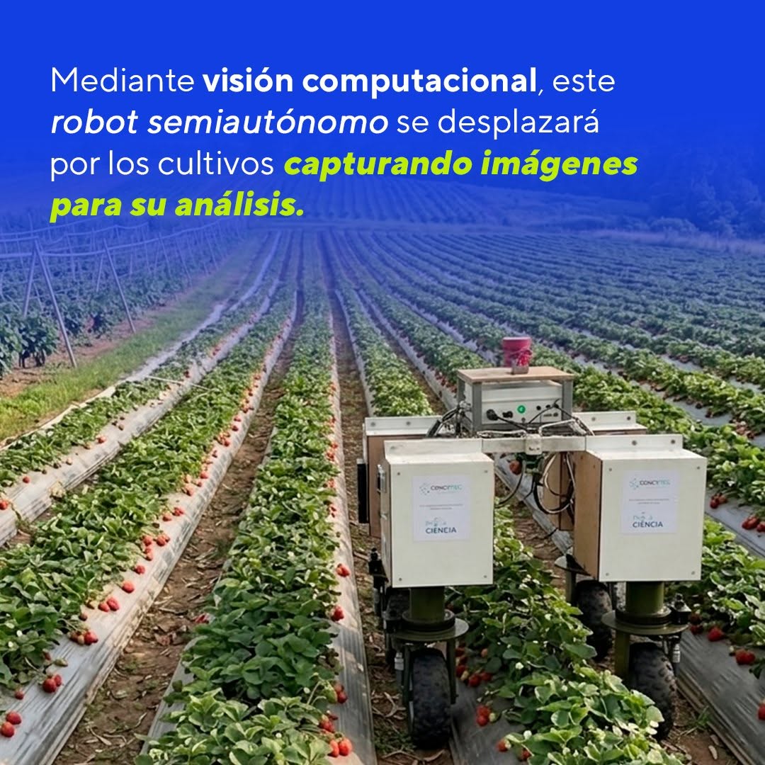 PUCP desarrolla robot inteligente que detectará plagas en cultivos de fresa en tiempo real