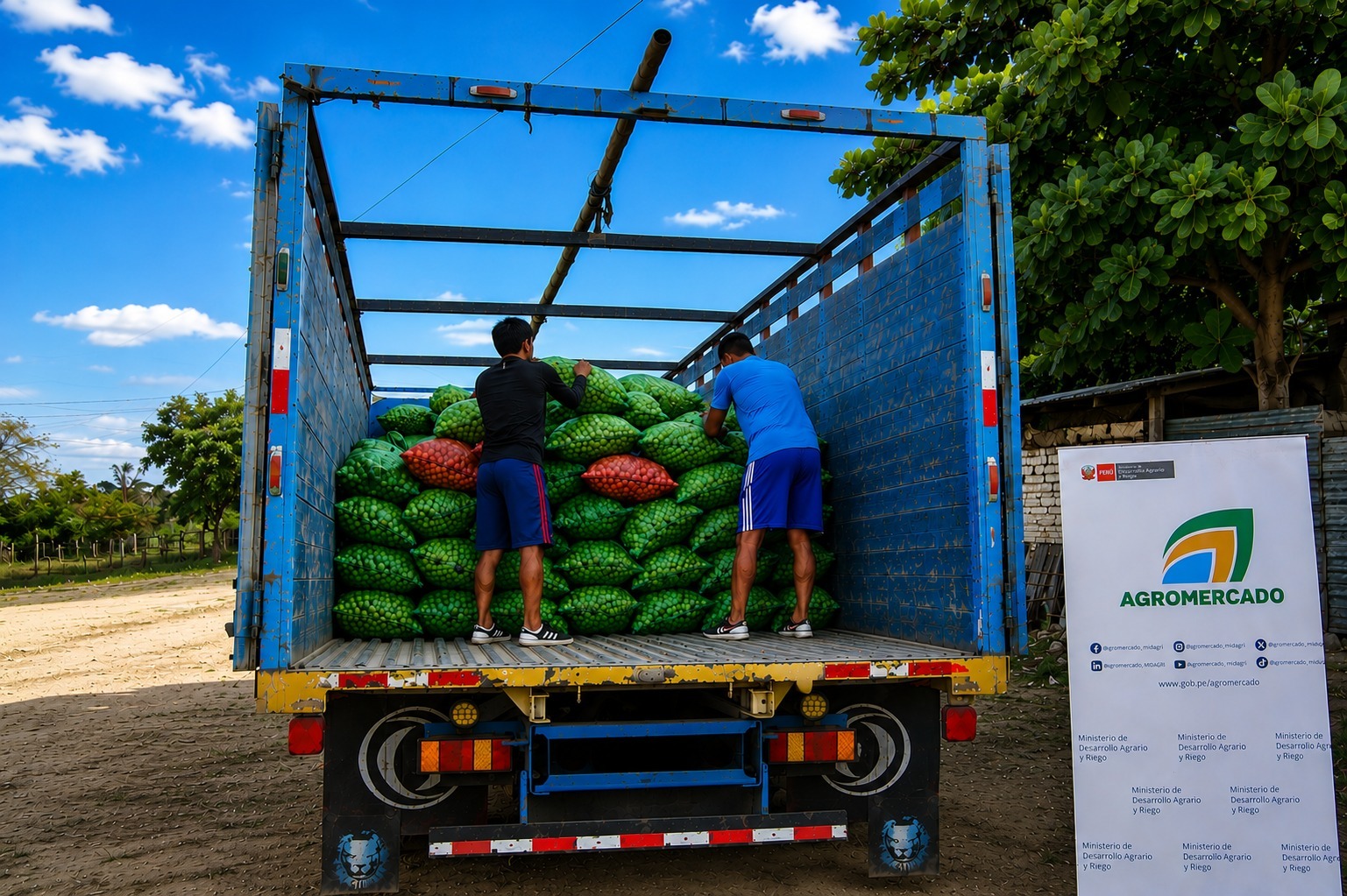 Tumbes: Productores comercializan 16 toneladas de limón para la agroindustria