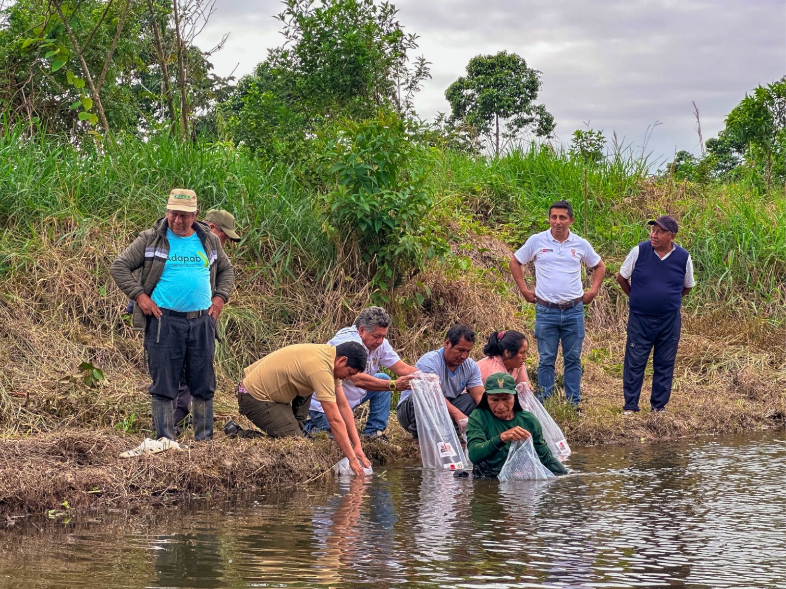 IIAP transfiere 5 000 alevines de mota punteada a piscicultores de Madre de Dios para validar su cultivo en zona de amortiguamiento cercana a La Pampa