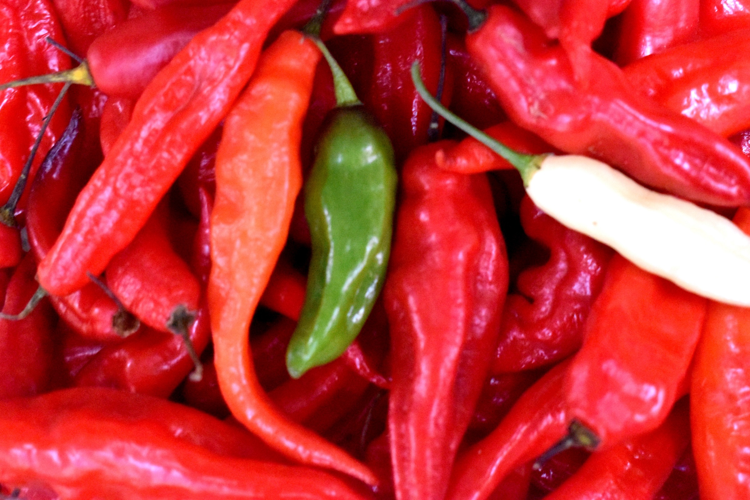 Adex: Se incrementa demanda internacional de pimiento piquillo peruano