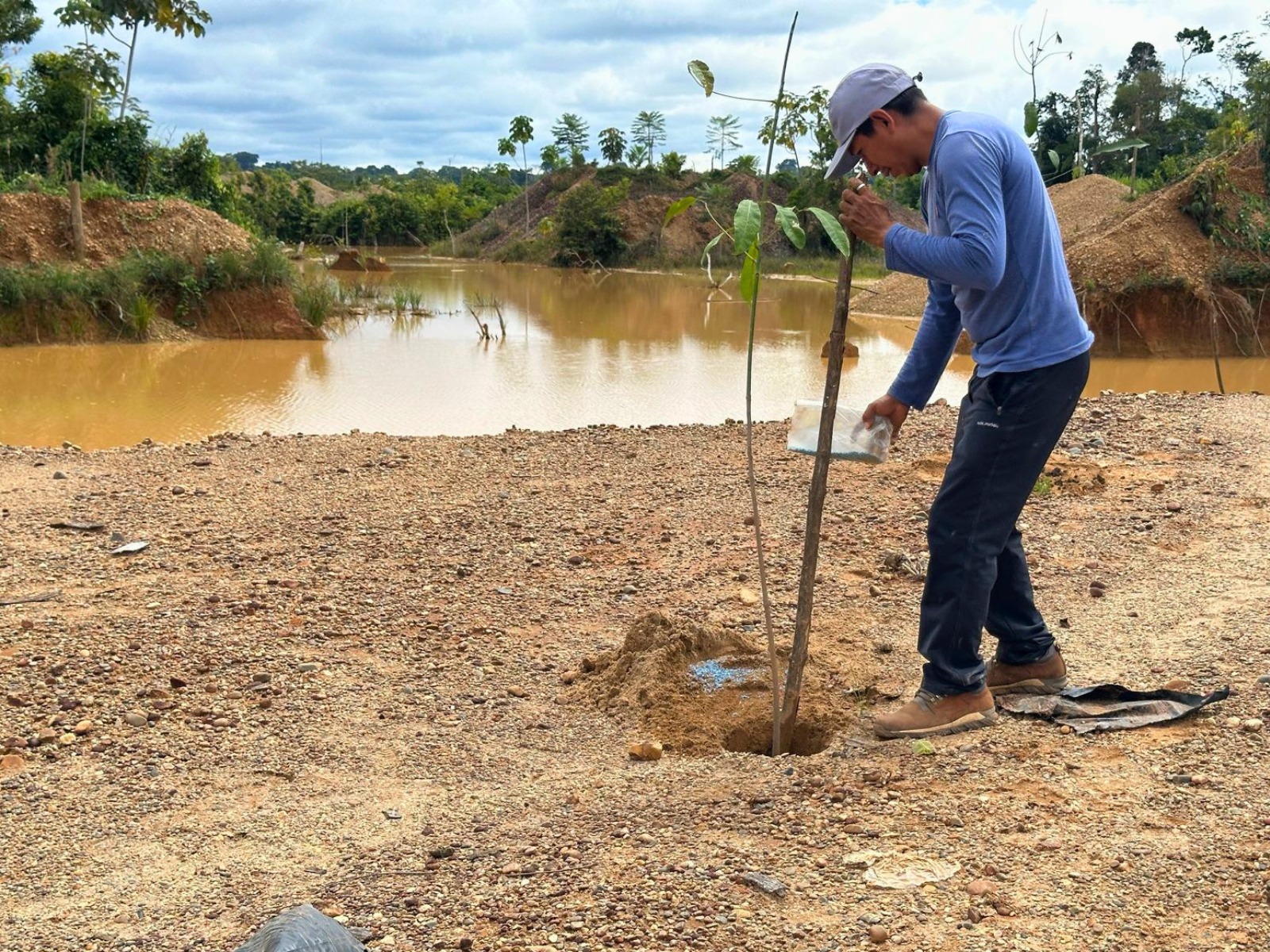 IIAP recupera suelos arrasados por la minería ilegal y genera ingresos para 176 familias
