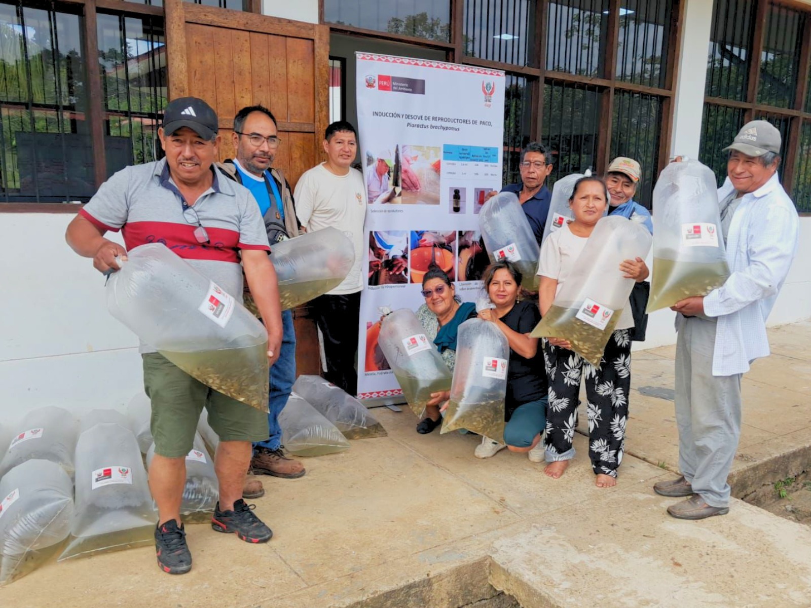 Madre de Dios: IIAP transfiere 26 000 alevinos de paco a piscicultores de Huepetue e Inambari