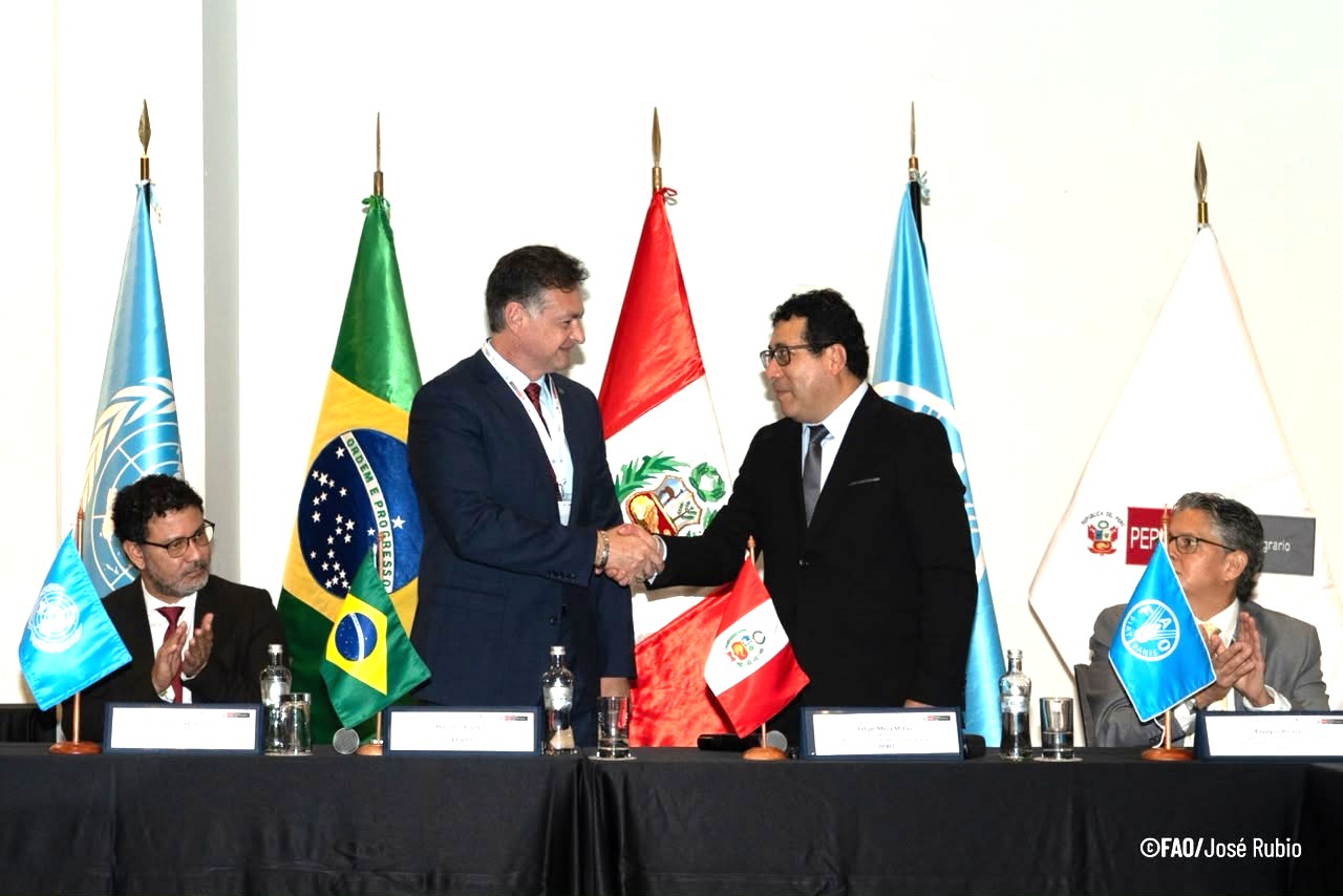 PLACA acuerda hoja de ruta regional para fortalecer la acción climática en la agricultura rumbo a la COP31 con el acompañamiento de la FAO