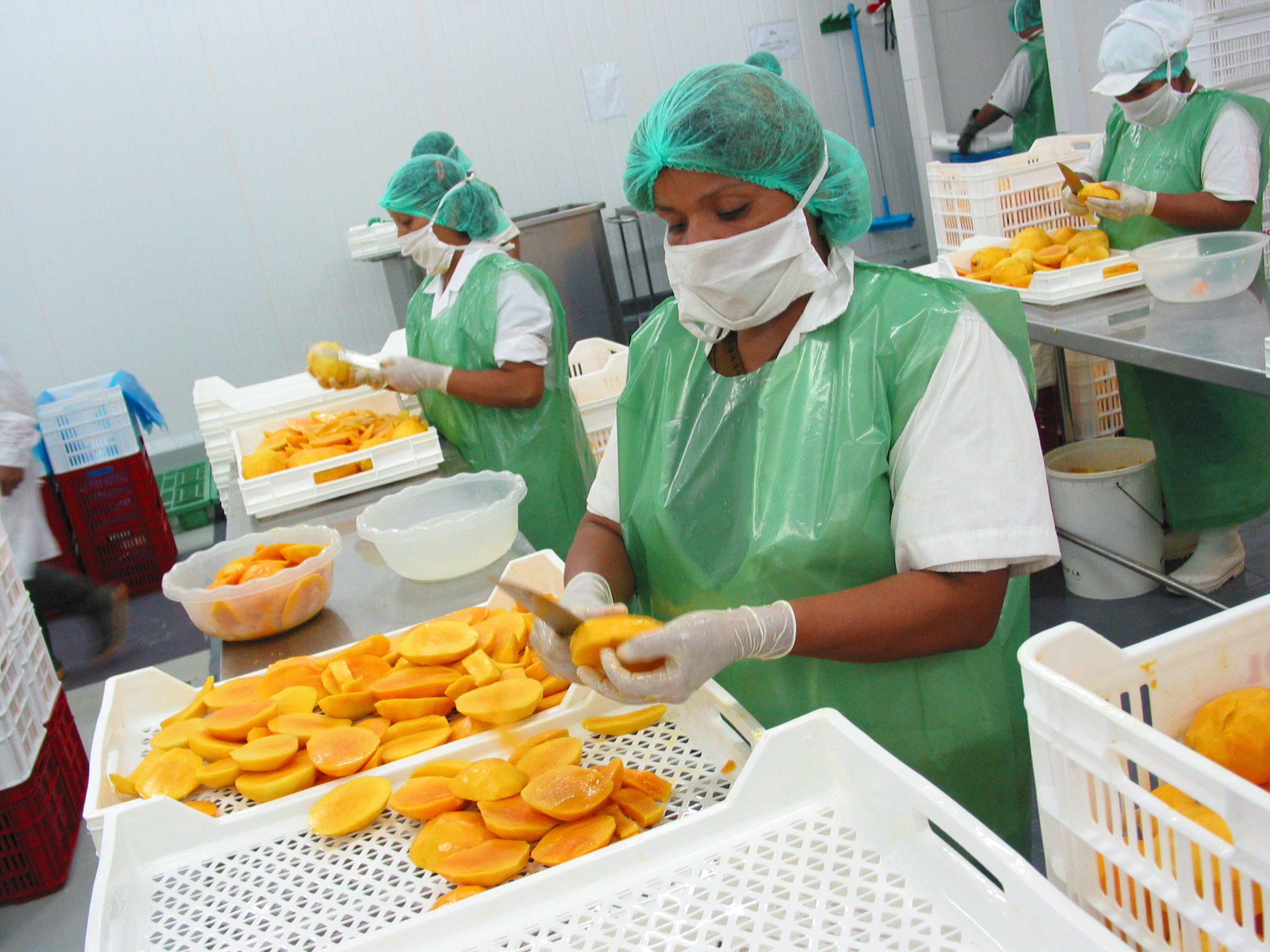 Adex: Fortalecer el sector agro debe ser prioridad del nuevo gobierno.