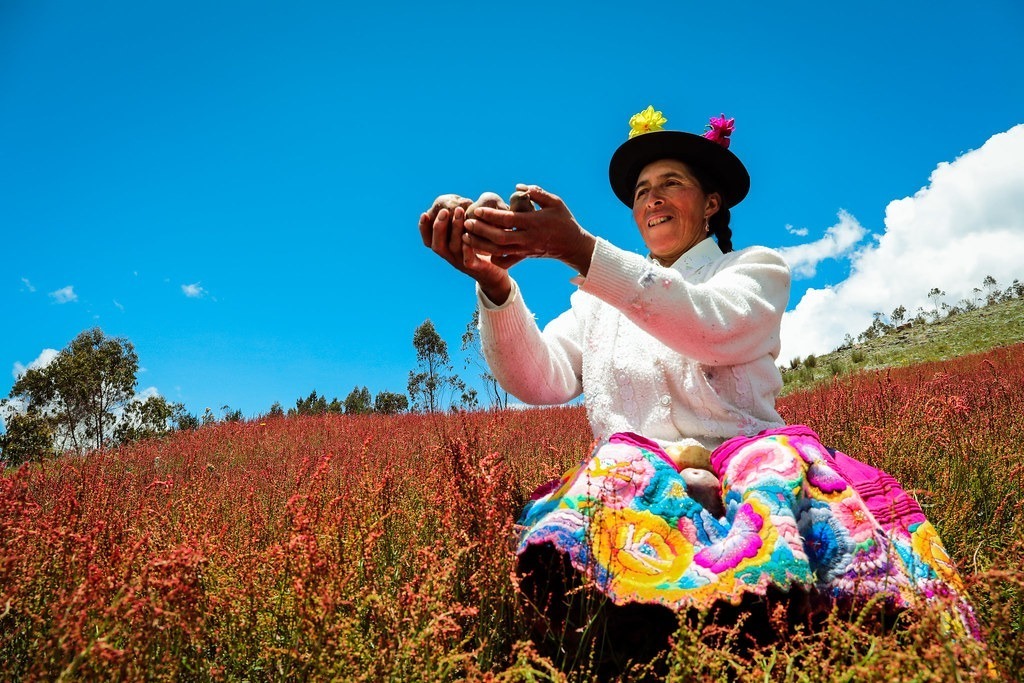 Día del Campesino: más de 2 millones de productores alimentan al Perú