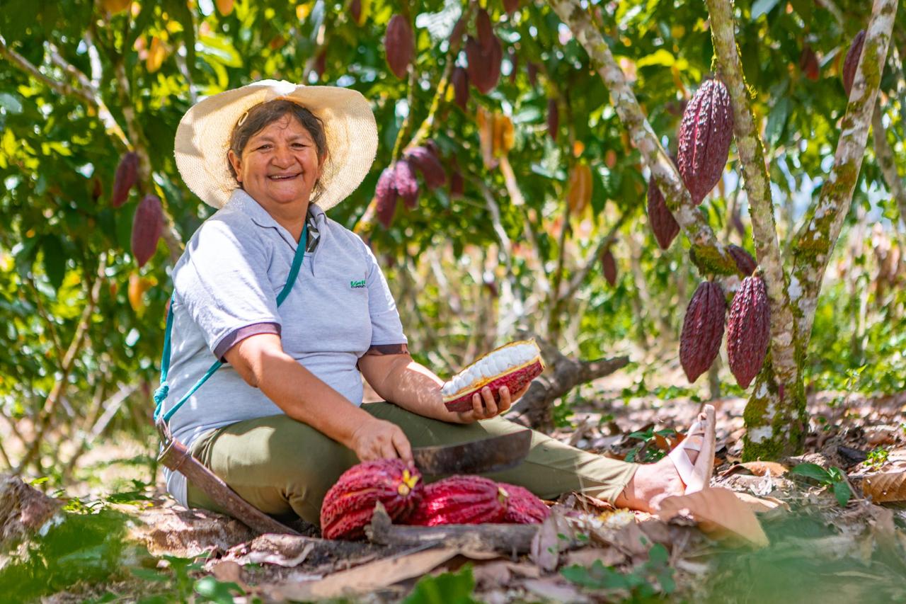 Canadá llega al XVII Salón del Cacao y Chocolate con 15 millones de dólares para impusar el cacao sostenible del Perú.