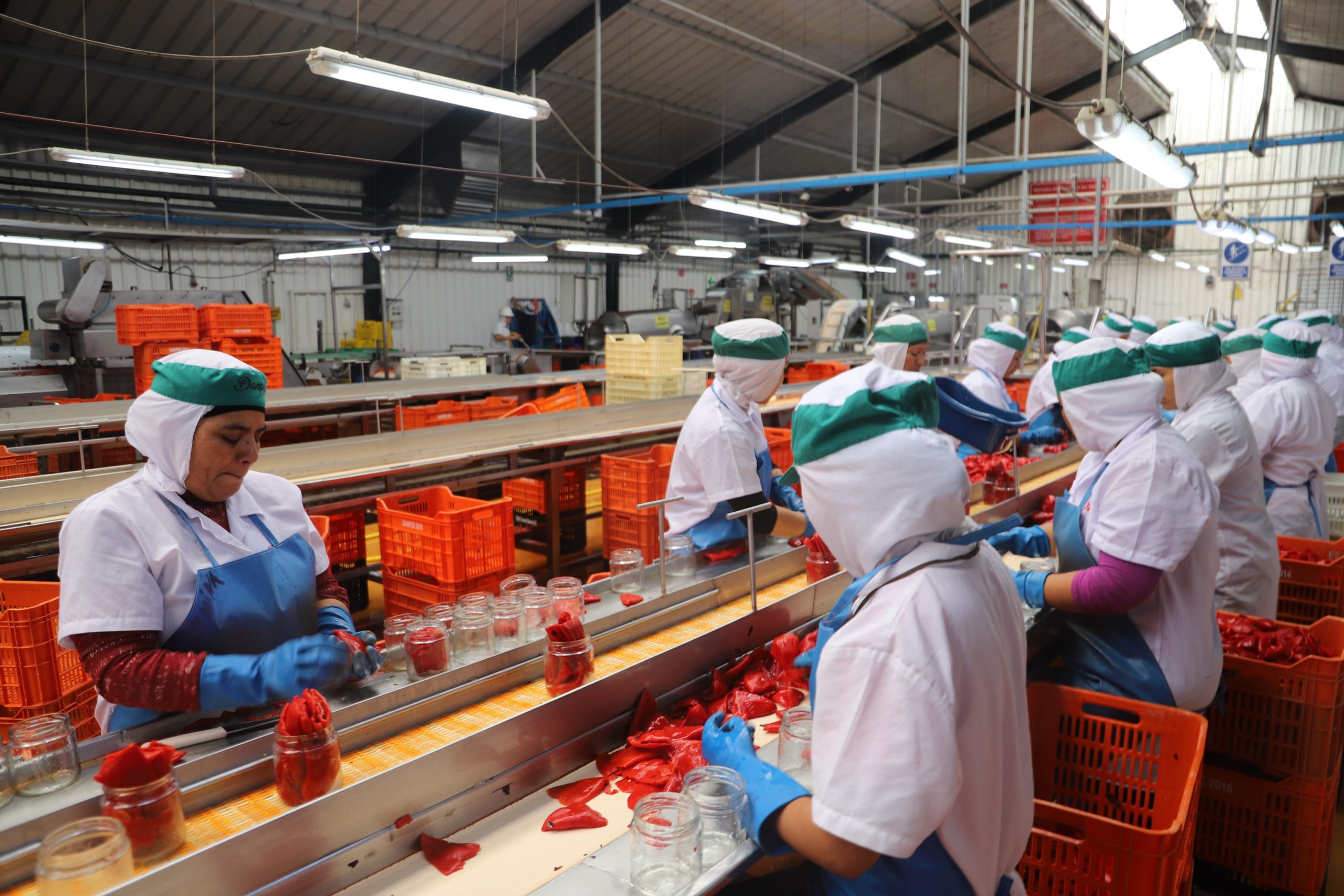 Despachos no tradicionales a España ascendieron U$ 460 millones