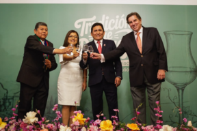 Moquegua será la sede del próximo Concurso Nacional del Pisco 2026