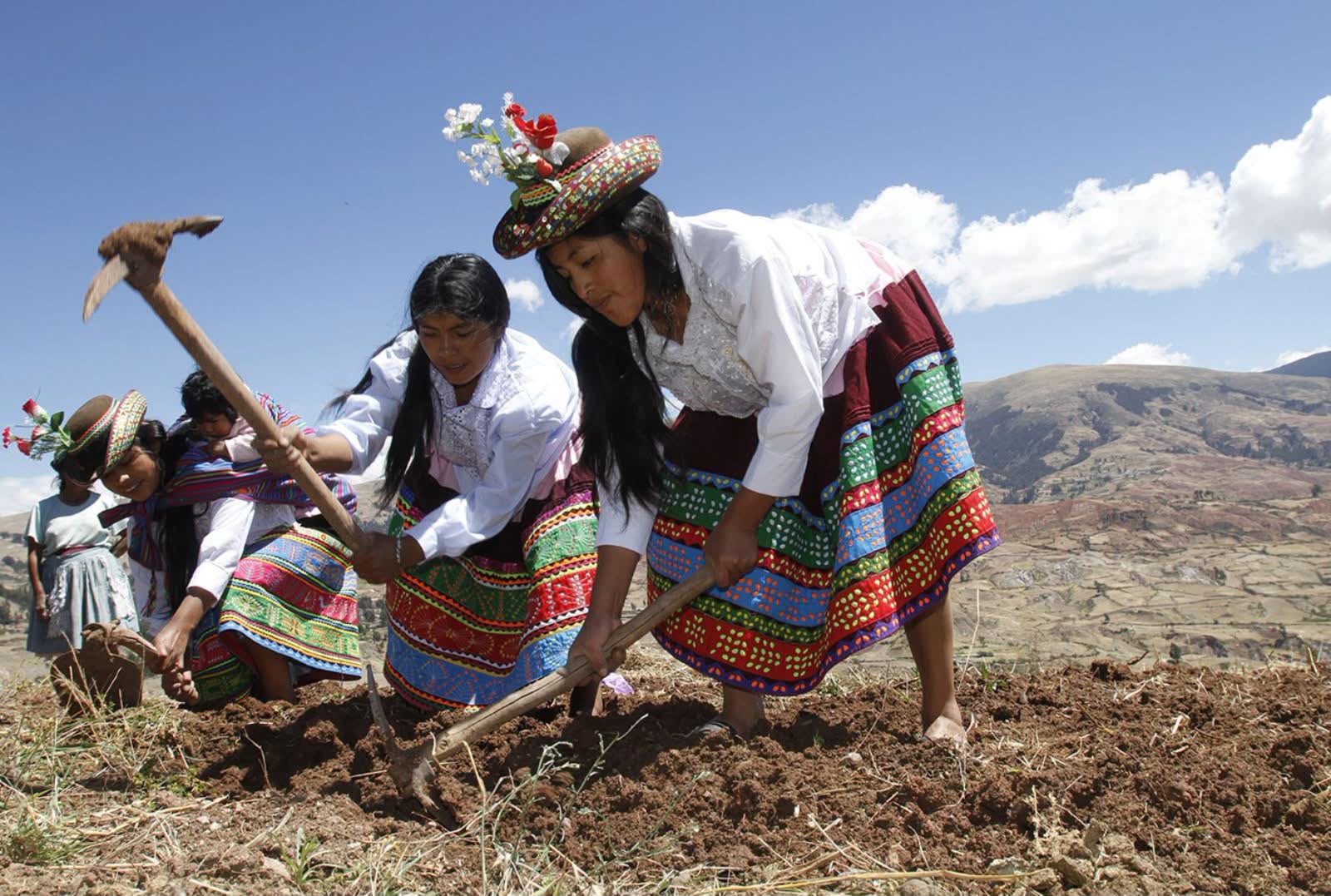 Campaña Agrícola 2026-2027  proyecta más de 2 millones de hectáreas de siembra impulsadas por maíz, papa y frijol
