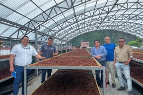 Cacao chuncho de los  matsigenkas estará en el Salón del Cacao y Chocolate ‘2026