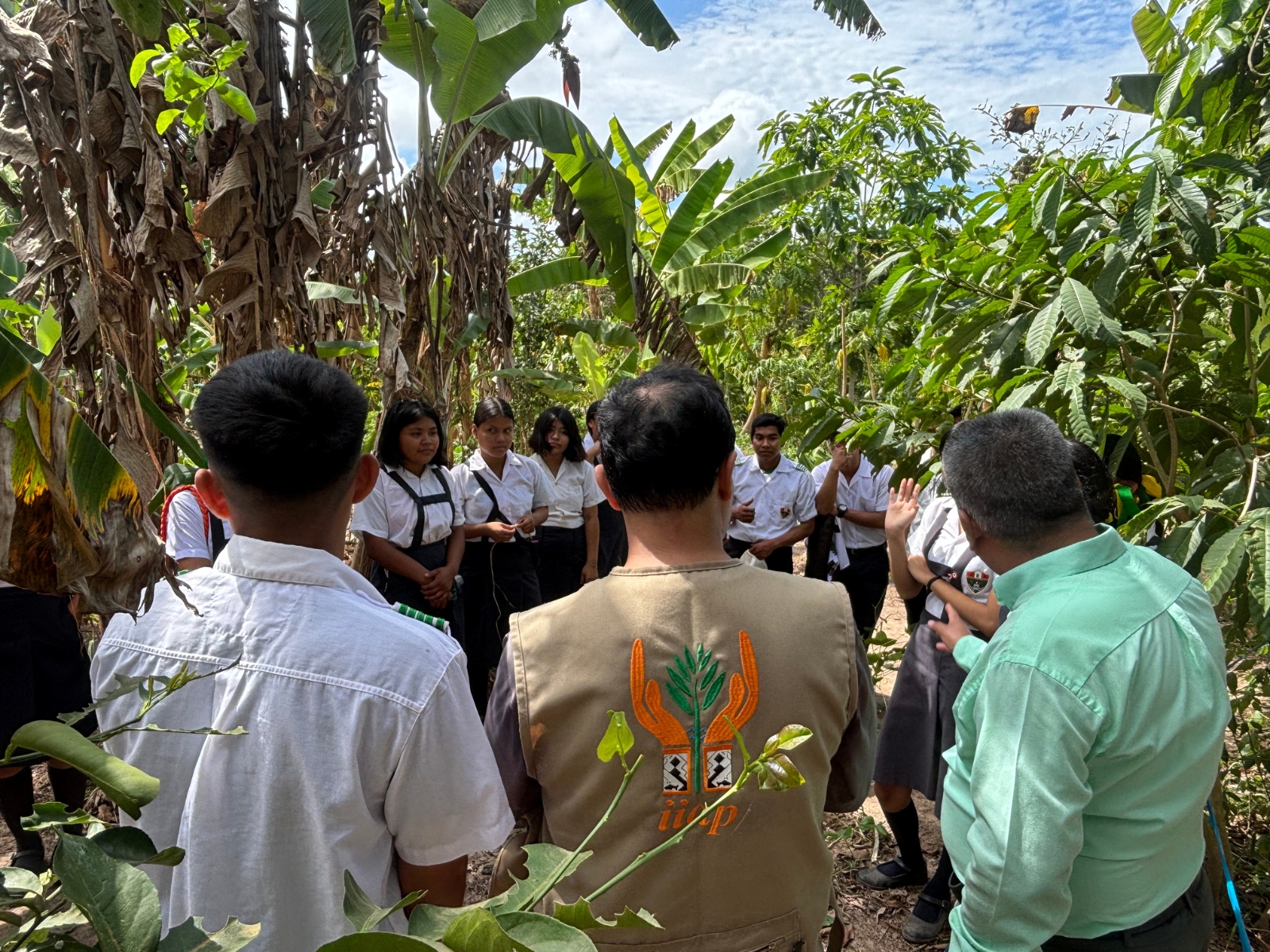 Ucayali: 425 familias fortalecen sus parcelas agroforestales con apoyo del IIAP