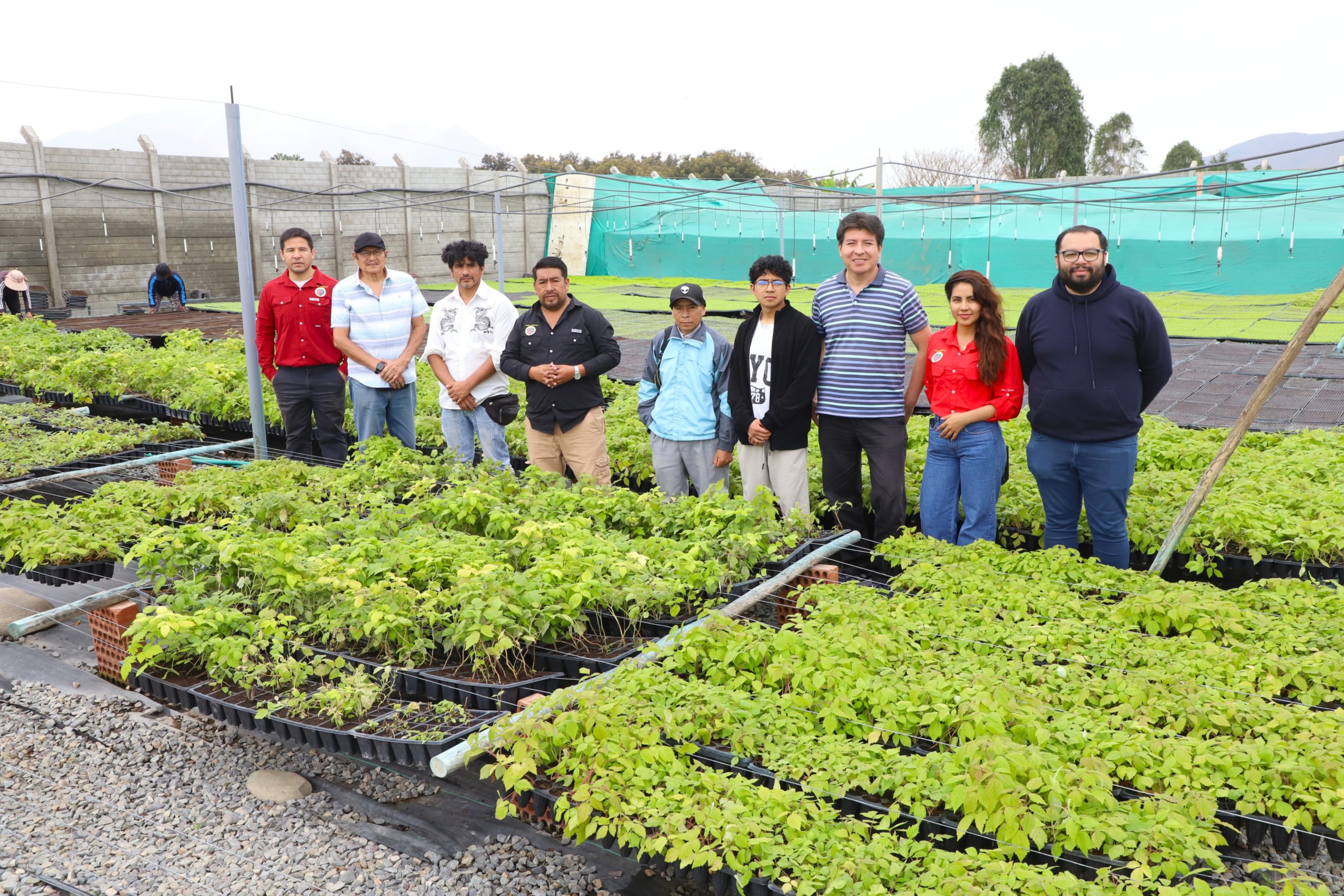 Vivero «Manada» de Huaral  presenta innovación  y material vegetal para impulsar la  agroexportación