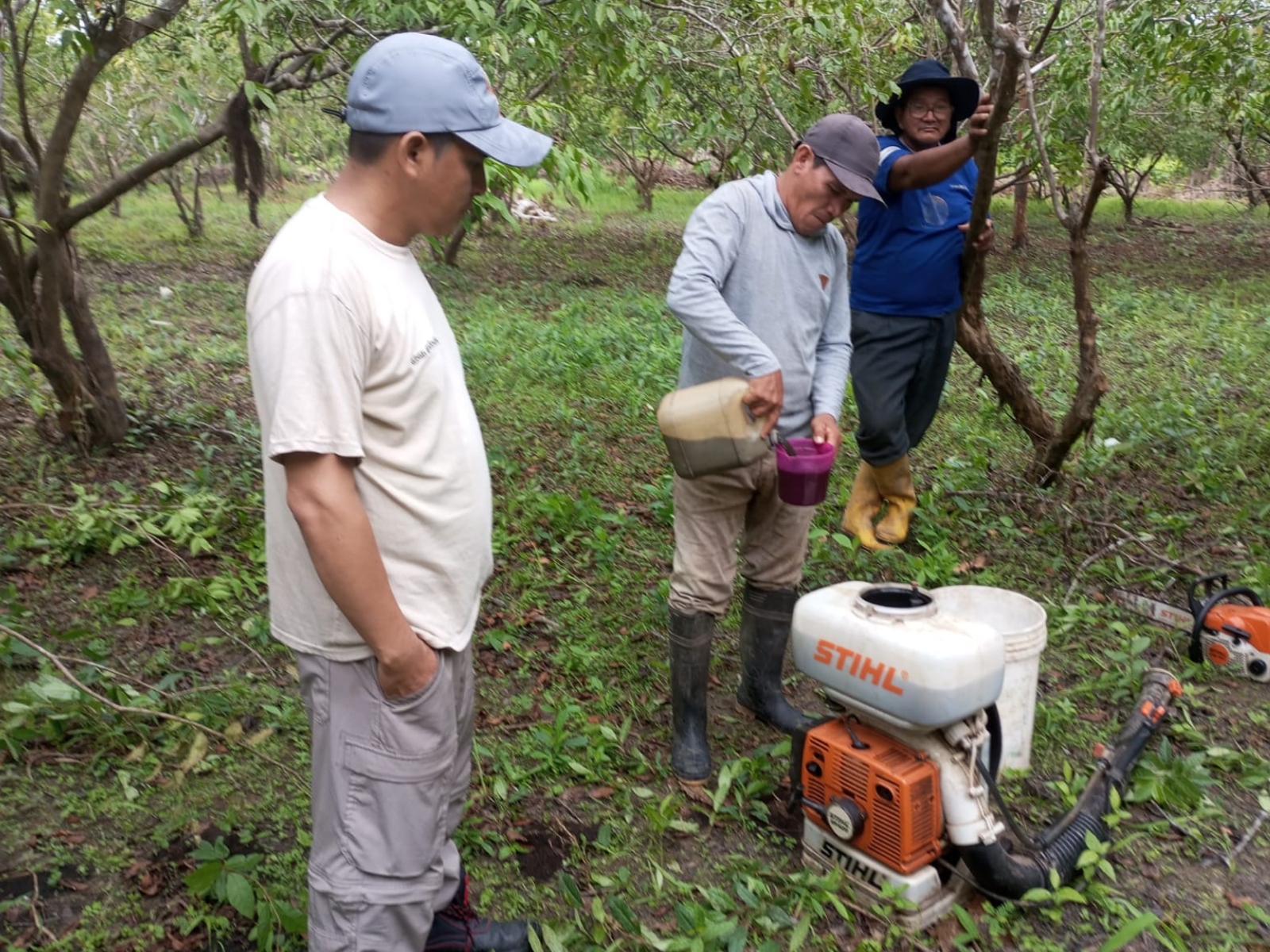 Loreto: IIAP convierte parcelas familiares en espacios de investigación y producción agroforestal