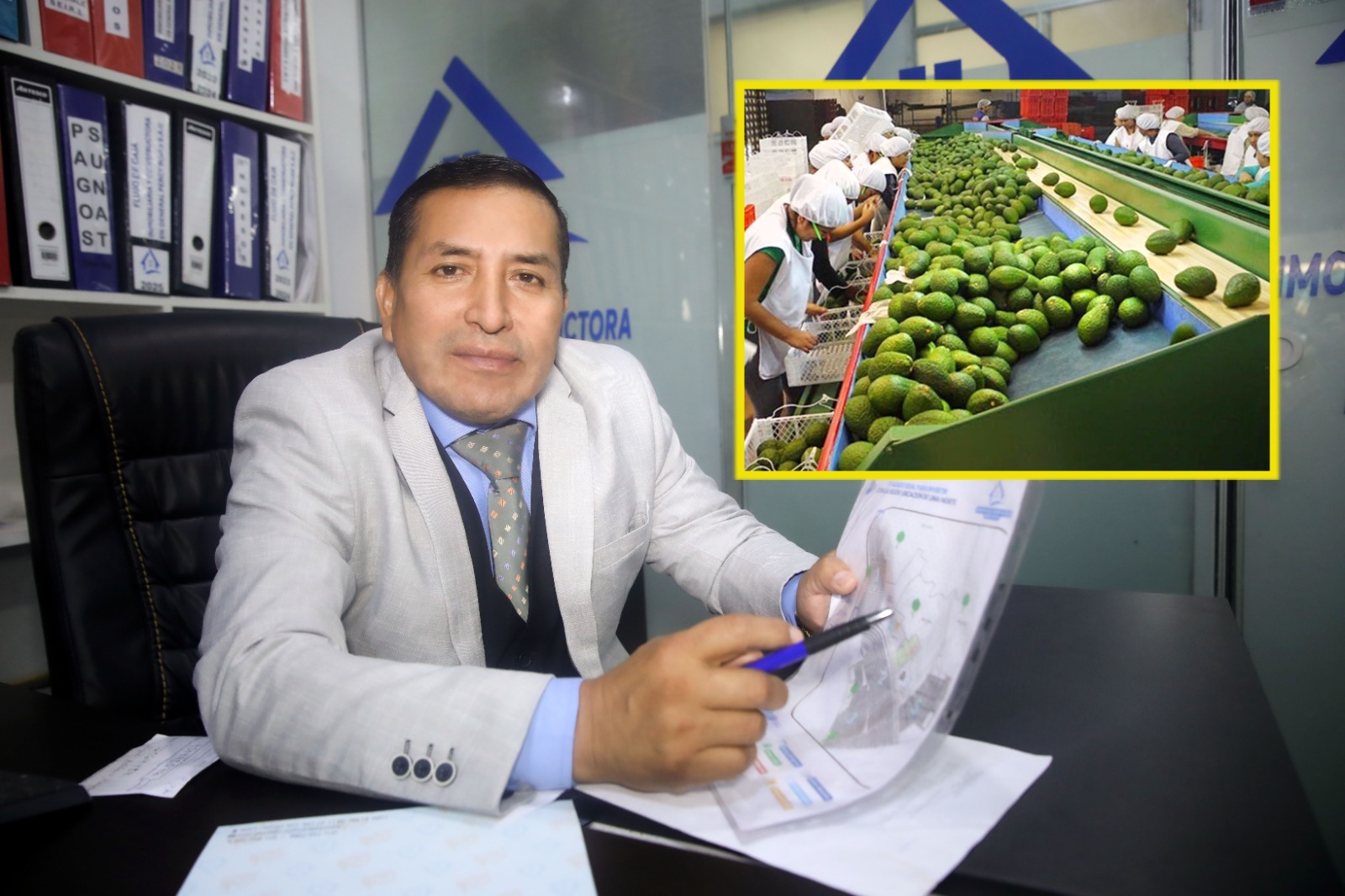 Paltas del Valle mantiene su producción de exportación, pero advierte riesgos por el Niño Costero y pide apoyo para los pequeños productores