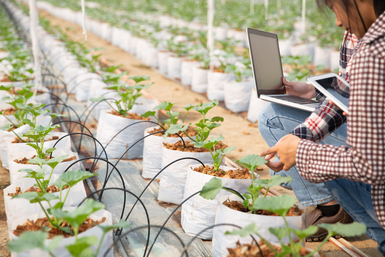 Fenómeno El Niño: la tecnología agrícola para la adaptación al cambio climático es clave para proteger al sector